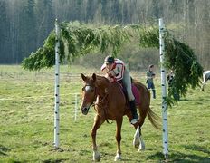 Центр верховой езды Двор Старинки, Соревнования - фото 14