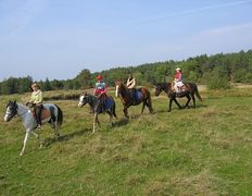 Центр верховой езды Двор Старинки, Походы - фото 18