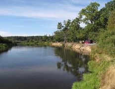 Река Птичь, Птичь - фото 2