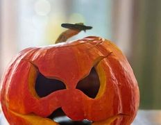 Современная столовая Неправильное питание, Тематические мероприятия - фото 2