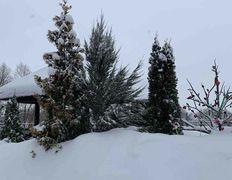 Агроусадьба У Истока, Зима У Истока  - фото 20