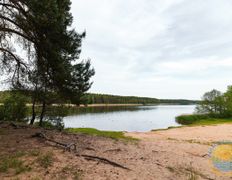 Санаторий Поречье, Территория - фото 15