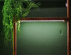 Пространство Джуманджи, Интерьер - фото 13