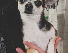 Ветеринарная клиника ВЕК, Галерея - фото 8