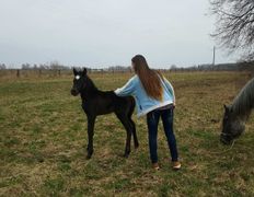 Центр верховой езды Двор Старинки, Походы - фото 5