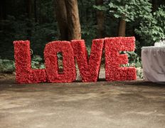 Кафе-банкетные залы Ребус, Выездная регистрация на площадке возле «Ребуса» - фото 19