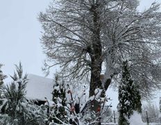 Агроусадьба У Истока, Зима - фото 1