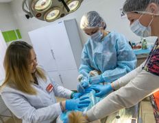 Ветеринарный центр КакадуВет, Галерея - фото 6