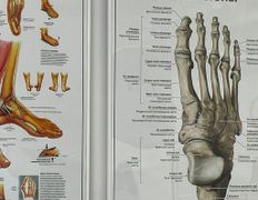 null Центр подологии и эстетики Ольги Дударевич, Галерея - фото 13
