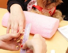 Салон красоты и парикмахерские курсы Жемчужина, Причёски, макияж, маникюр - фото 4