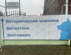 Ветеринарная клиника Столетово, Галерея - фото 1