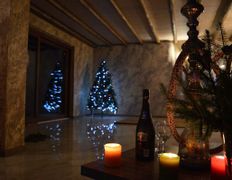 Вилла Vice house (Вайс хаус), Новый год 2026 - фото 9