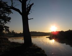 Река Птичь, Птичь - фото 3