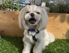 Ветеринарная клиника АйбиВЕТ, Галерея - фото 17