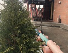 Гостевой дом Баня на ЧЕРНИЧНОЙ, Интерьер - фото 15