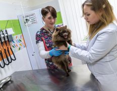 Ветеринарный центр КакадуВет, Галерея - фото 17