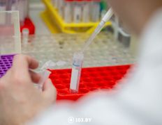 null Республиканский научно-практический центр детской онкологии, гематологии и иммунологии, Лаборатория генетических биотехнологий - фото 9