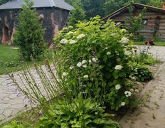 Усадьба Андреевская Заимка, Интерьер и экстерьер - фото 3