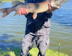 Усадьба Чистый ручей, Рыбалка - фото 2