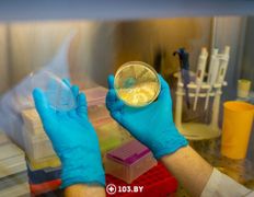 null Республиканский научно-практический центр детской онкологии, гематологии и иммунологии, Лаборатория генетических биотехнологий - фото 3