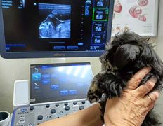 Ветклиника МогВетЛига, Галерея - фото 8