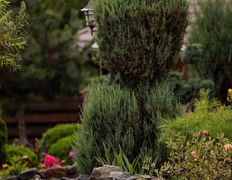 Агроусадьба  Belladzhio VIP Minsk (Белладжио ВИП Минск), Территория - фото 13