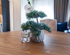 Агроусадьба  Belladzhio VIP Minsk (Белладжио ВИП Минск), Апартаменты «Капучино» - фото 11