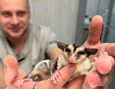 Ветклиника Айдавет, Наши пациенты - фото 10