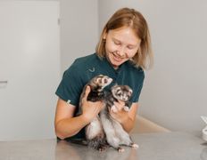 Ветеринарная клиника Компаньон, Интерьер - фото 14