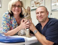 Ветклиника МогВетЛига, Галерея - фото 1