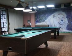 Бильярдно-развлекательный центр Белый Лев, Пул, общий зал  - фото 6