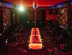 Стриптиз-клуб Night Fantazy (Ночные Фантазии), Интерьер - фото 8