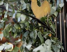 Кафе Закуток, День Рождение кафе — 10 лет - фото 13