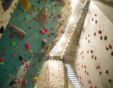 Национальный олимпийский стадион Динамо, Скалодром - фото 2