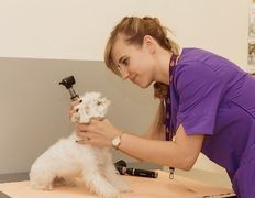 Ветеринарная клиника и аптека  Дай Лапу, Галерея - фото 5