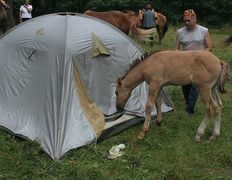 Центр верховой езды Двор Старинки, Походы - фото 15