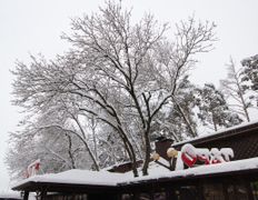 Загородное кафе Очаг, Новый год 2026 - фото 16