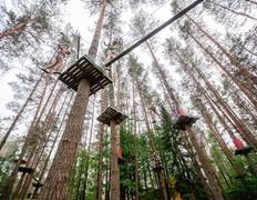 Загородный клуб Фестивальный, Веревочный город «МалпаЛэнд» - фото 10