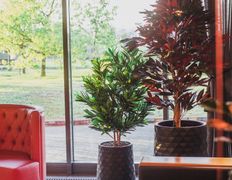 Ресторан Wood & Fire, Интерьер - фото 18