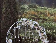 Агроусадьба У Истока, Территория - фото 7