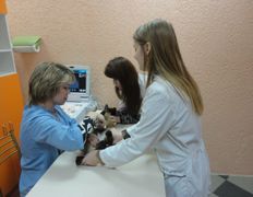 Ветеринарный центр Семь жизней, Галерея - фото 2