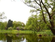 Музей Вязынка, Музей - фото 2