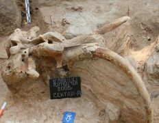 Музей под открытым небом Стоянка первобытных людей, Стоянка первобытных людей - фото 2