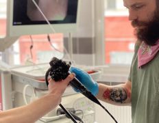 null Ветеринарный центр доктора Базылевского А.А. Филиал «Минск 24/7», Галерея - фото 14