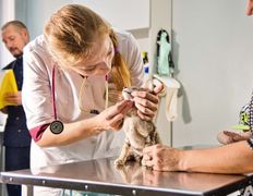 Ветеринарная клиника ЭкспертВет, Галерея - фото 5