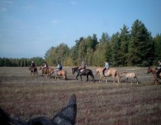 Центр верховой езды Двор Старинки, Прокат - фото 8