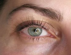 Салон красоты Pavlin Немига (Павлин), Ламинирование/ботокс ресниц - фото 1