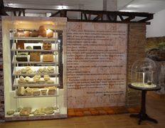 null Археологический музей, Музей - фото 5