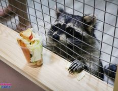 Торгово-развлекательный центр Титан, Всемирный день фотографа в ZOOпарке - фото 3