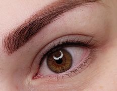 Студия красоты Valeria Studio (Валерия Студия), Перманентный макияж бровей - фото 1